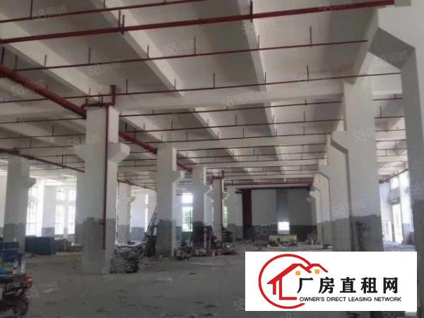  免中介费，大岭山新建9层共40000平方厂房出租，可办环评！