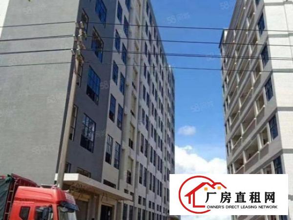  免中介费，大岭山新建9层共40000平方厂房出租，可办环评！