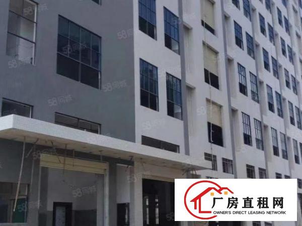  免中介费，大岭山新建9层共40000平方厂房出租，可办环评！