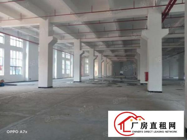  免中介费，大岭山新建9层共40000平方厂房出租，可办环评！