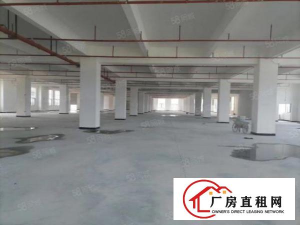  免中介费，大岭山新建9层共40000平方厂房出租，可办环评！