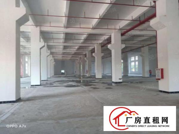  免中介费，大岭山新建9层共40000平方厂房出租，可办环评！