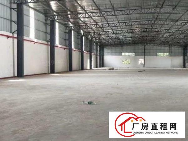  新出原房东单一层3000平独门独院钢结构工业厂房火爆招租