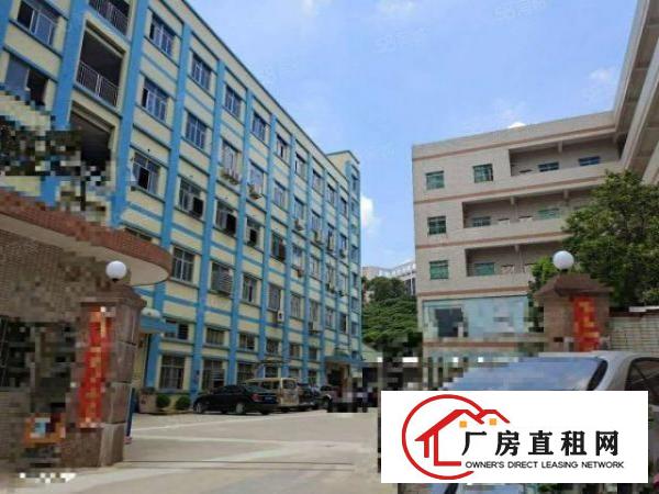  杨屋村新空出独院标准3楼2000平厂房出租带精装修办公室