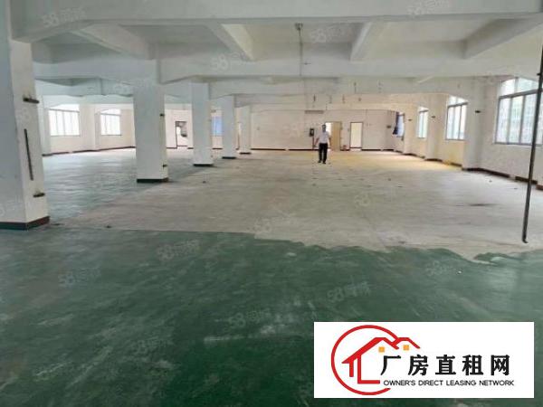  小独院12层2100平方，可分租