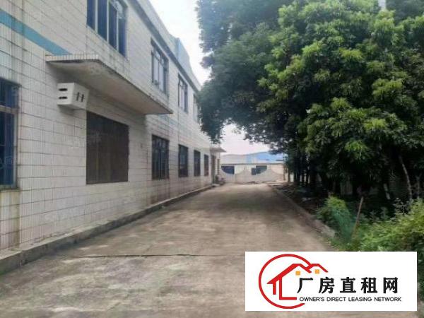 小独院12层2100平方，可分租