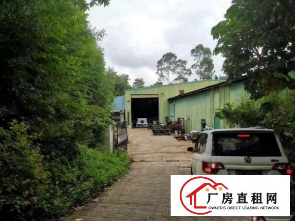  大岭山杨屋村靠山边1700平原房东独院单一层钢构厂房出租