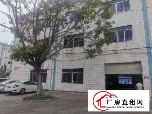  大岭山工业园，新出标准一楼1000平出租，全新精装修