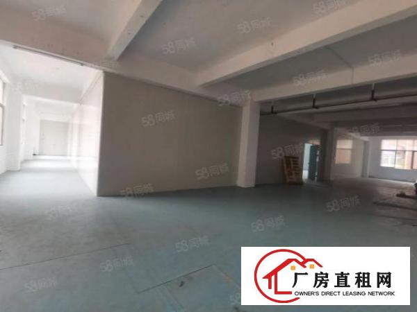  大岭山工业园，新出标准一楼1000平出租，全新精装修