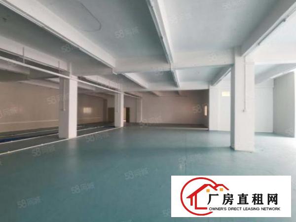  大岭山工业园，新出标准一楼1000平出租，全新精装修