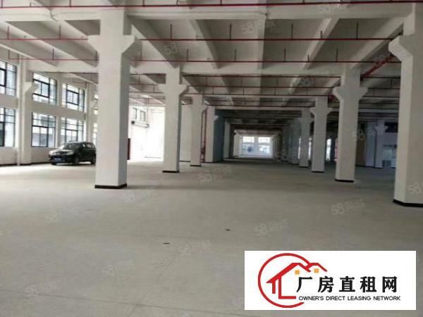  金桔原房东大空地1000平精装修水电全环评独门独院厂房出租