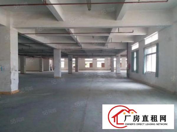 金桔原房东大空地1000平精装修水电全环评独门独院厂房出租