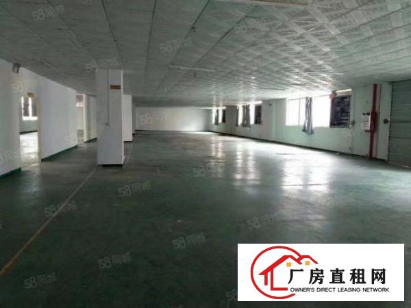  金桔原房东大空地1000平精装修水电全环评独门独院厂房出租