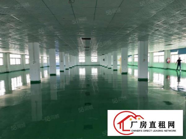  大岭山镇出租楼上1100平厂房有天花吊顶全新地坪漆可分租