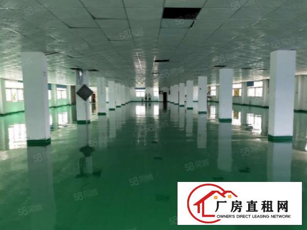  大岭山镇出租楼上1100平厂房有天花吊顶全新地坪漆可分租