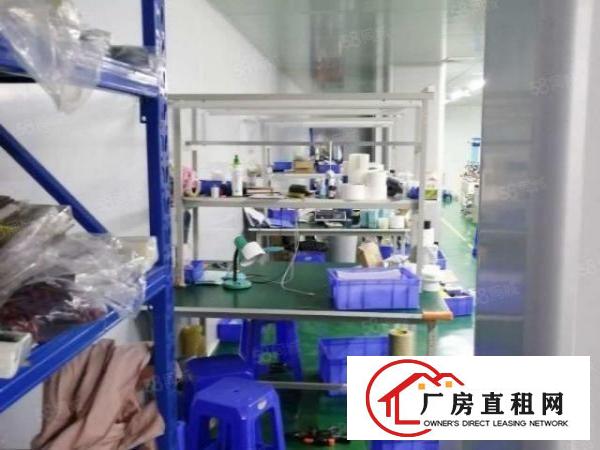  杨屋村原房东现成无尘车间580平厂房出租带装修进驻即可生产