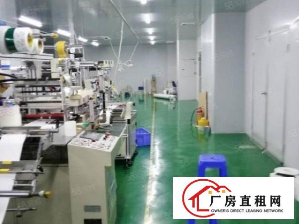  杨屋村原房东现成无尘车间580平厂房出租带装修进驻即可生产