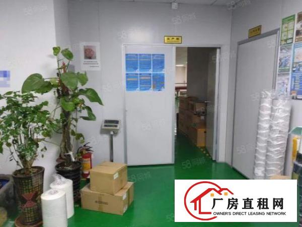  杨屋村原房东现成无尘车间580平厂房出租带装修进驻即可生产