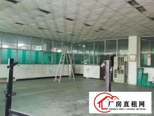  大岭山镇出租一楼4000平高度8米，精装修带阁楼设各类重工业