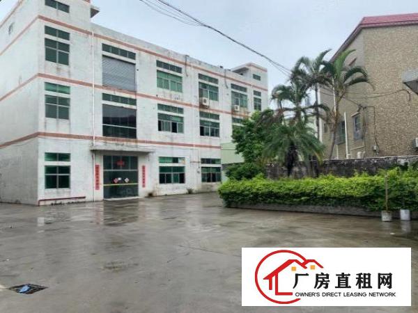  大岭山大沙工业区新出独门独院1280平米厂房招租