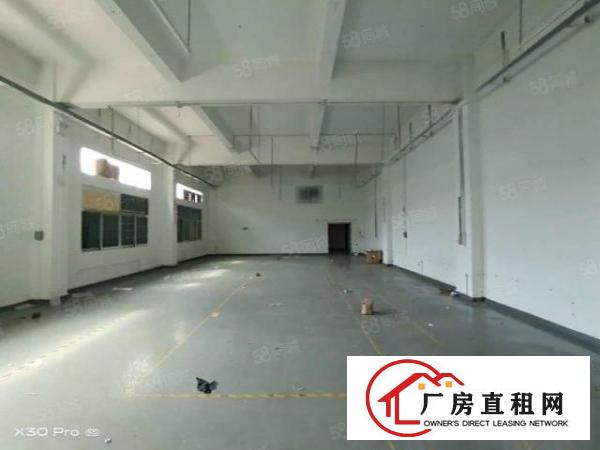  大岭山大沙工业区新出独门独院1280平米厂房招租