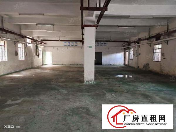  可办环坪向东村新空出原房东独门独院3层2400平方厂房出租
