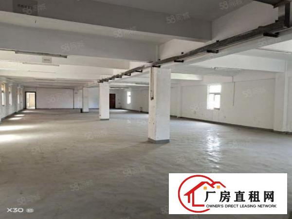  可办环坪向东村新空出原房东独门独院3层2400平方厂房出租
