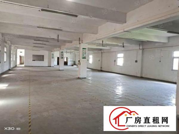  可办环坪向东村新空出原房东独门独院3层2400平方厂房出租