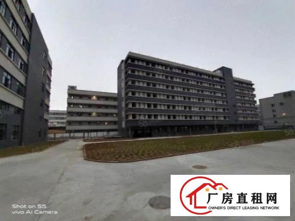  靓！大岭山玩具厂房大小可分租豪华装修有红本