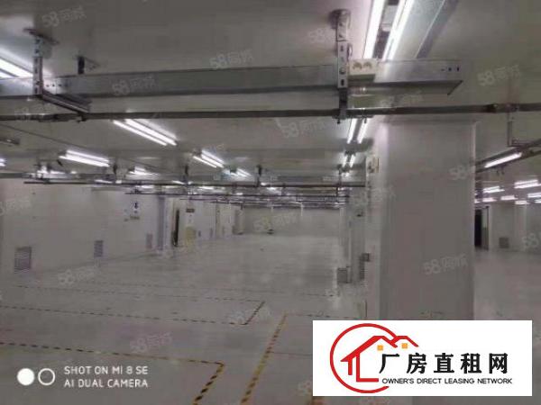  靓！大岭山玩具厂房大小可分租豪华装修有红本