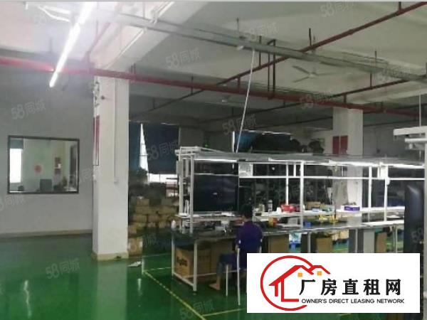  形象好大岭山镇出租一楼500平精装修厂房有现成办公室