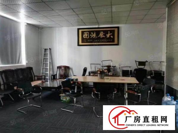  大岭山大片美工业区单一层钢结构20000平米厂房出租，可分租