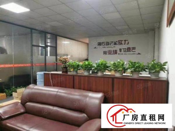  大岭山大片美工业区单一层钢结构20000平米厂房出租，可分租