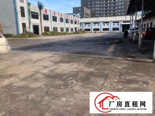  大岭山金桔原房东独院厂房3000平米招租，空地大，可分租
