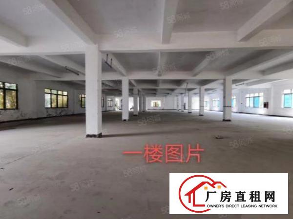  大岭山金桔原房东独院厂房3000平米招租，空地大，可分租