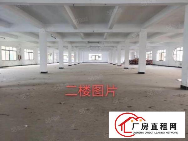  大岭山金桔原房东独院厂房3000平米招租，空地大，可分租