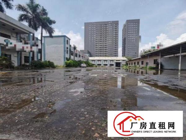  大岭山金桔原房东独院厂房3000平米招租，空地大，可分租