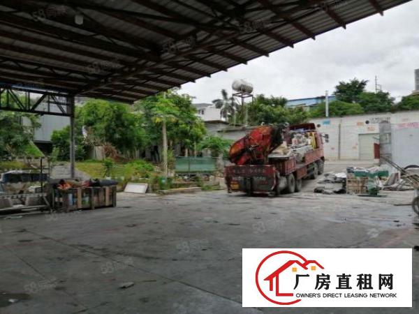  大岭山颜屋村新出独院3500带宿舍800钢构厂房