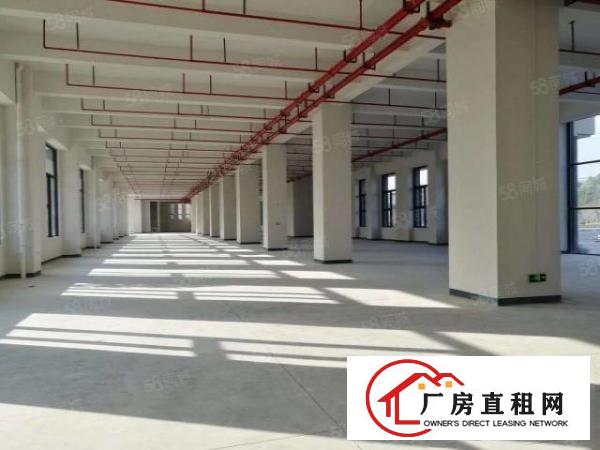  大岭山全新红本工业园全球招商，大小可分，可办环评