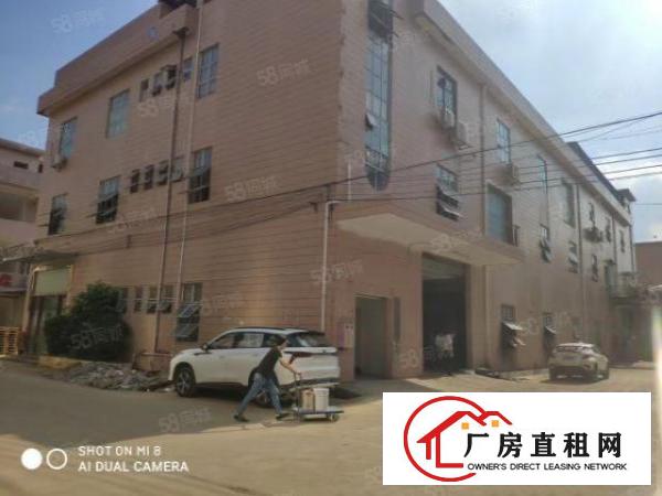  大岭山新出带装修办公室一楼800平方厂房出租仓库出租