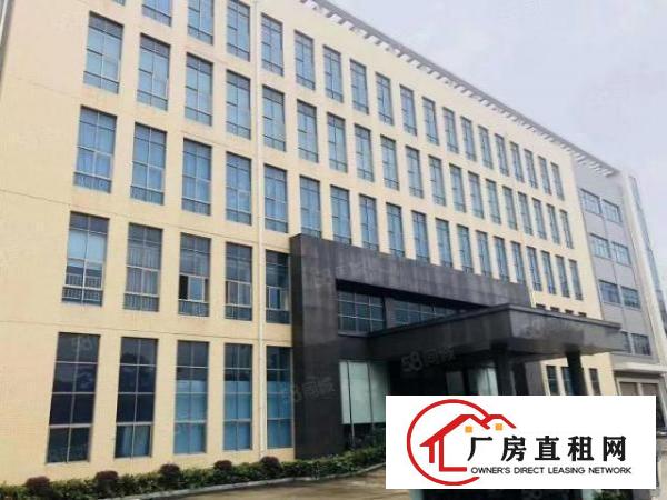  大岭山豪华装修红本独院，大小分租可办环评