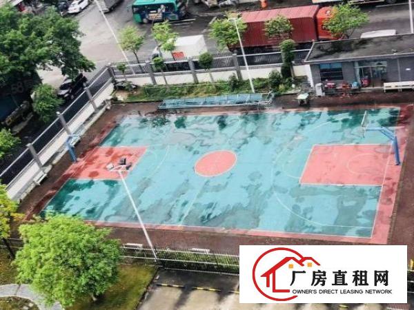  大岭山豪华装修红本独院，大小分租可办环评