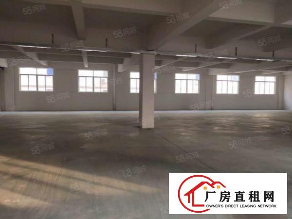  大岭山金桔新出楼上800平厂房招租