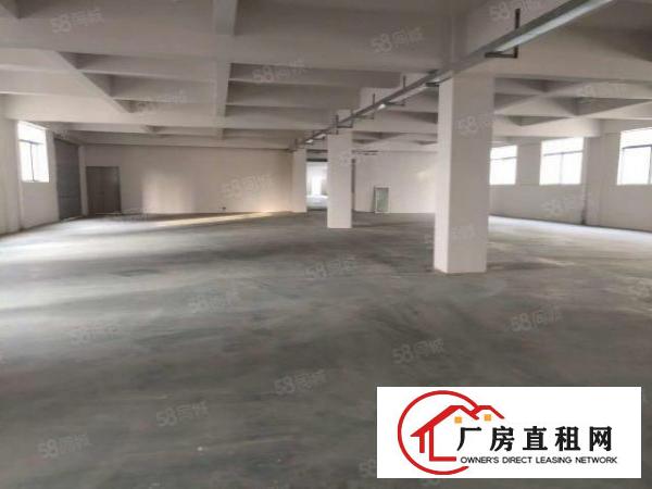  大岭山金桔新出楼上800平厂房招租