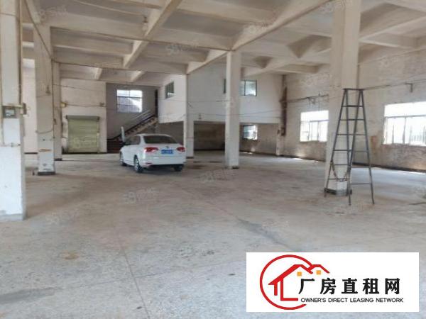  大岭山新空独院2000平方厂房出租