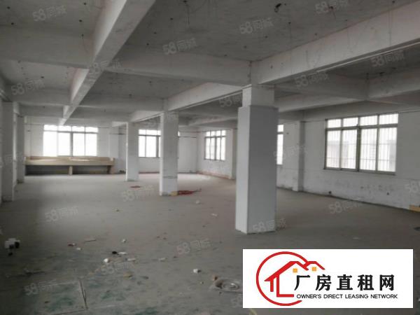  大岭山工业区新出花园式独院厂房，园区空地大可分租