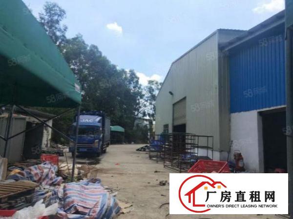  现成环坪大岭山新空出独门独院单一层3600平方钢构厂房出租