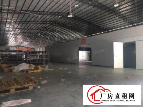  现成环坪大岭山新空出独门独院单一层3600平方钢构厂房出租