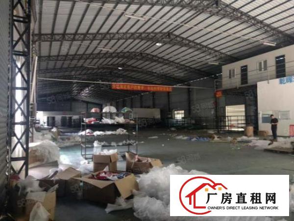  现成环坪大岭山新空出独门独院单一层3600平方钢构厂房出租