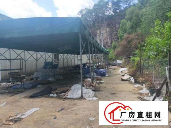  现成环坪大岭山新空出独门独院单一层3600平方钢构厂房出租